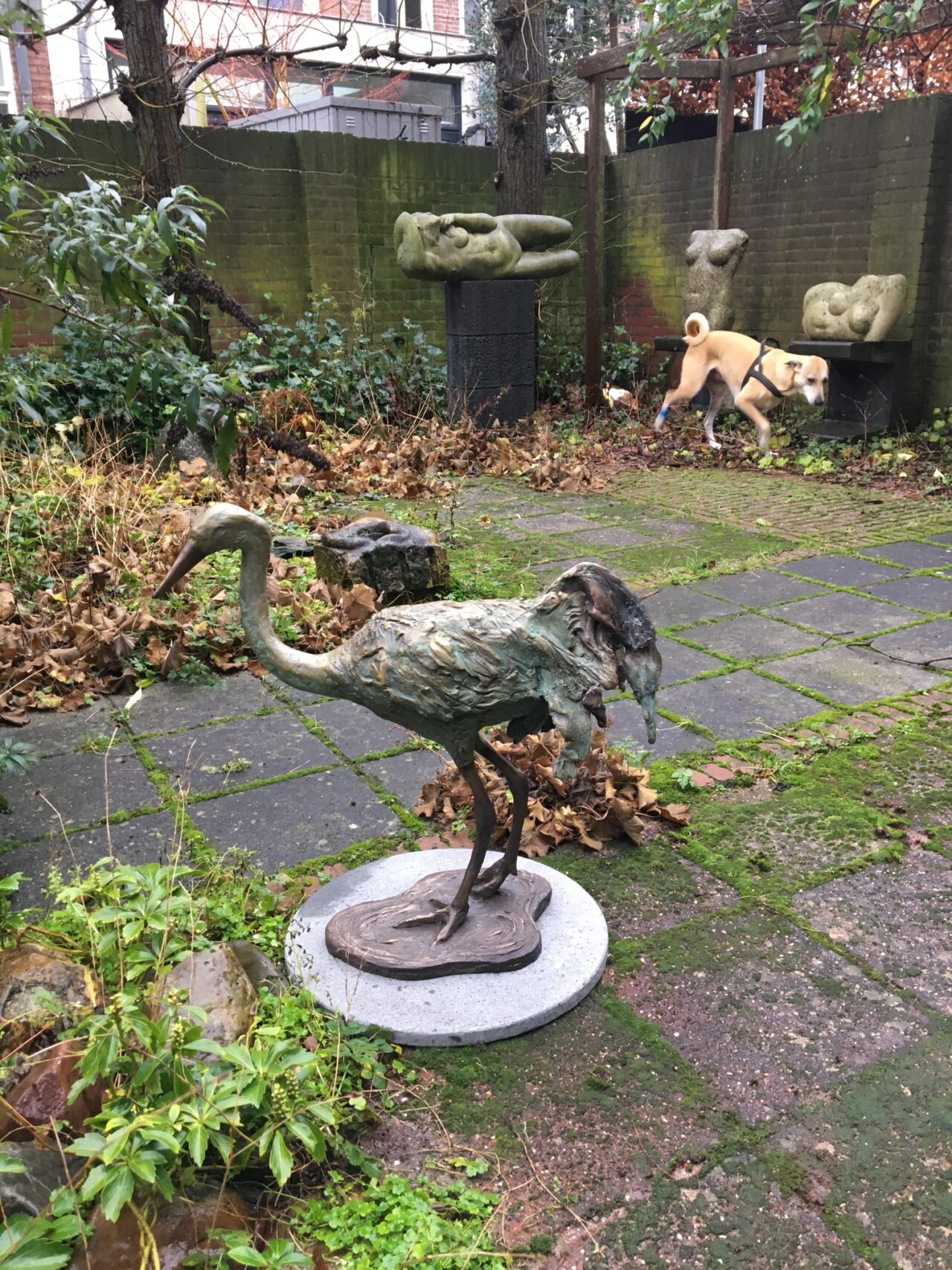 Kraanvogel, Brons